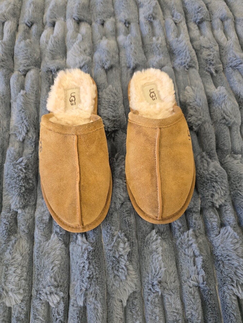 UGG Cozy Chestnut Suede Shearling Clog Slippers